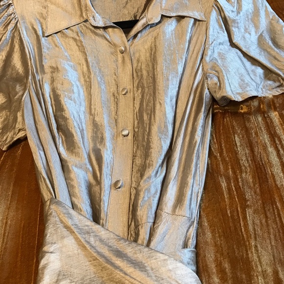 BCBG Max Azria Vintage Silver Metallic Fit and Flare Midi Dress - Picture 6 of 11